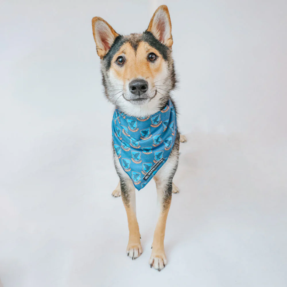 レイブンクロー ドッグ バンダナ Sassy Woofコラボレーション - Image 4